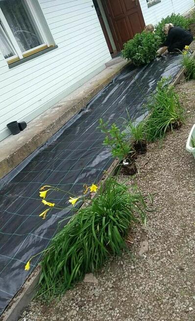 Pielęgnacja ogrodów