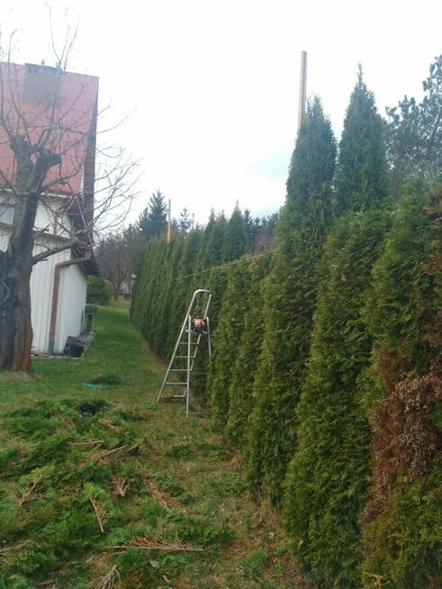 Pielęgnacja ogrodów