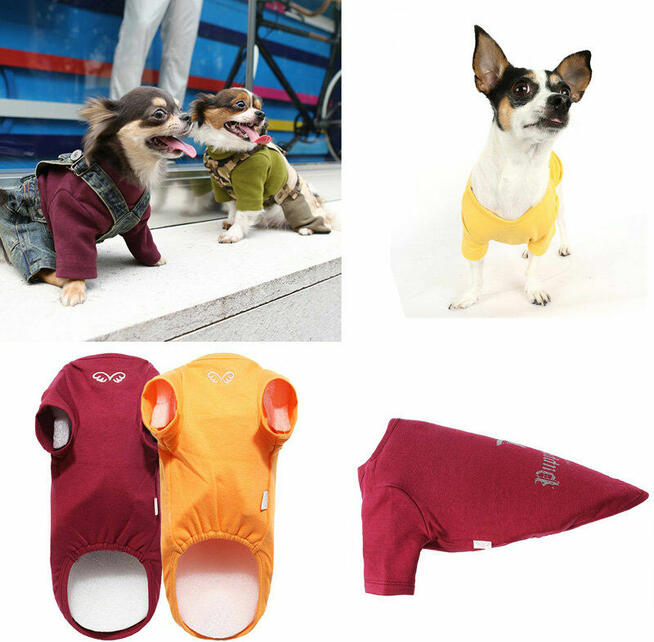 Koszulka dla dużego psa Puppy Angel 7XL kolor lila