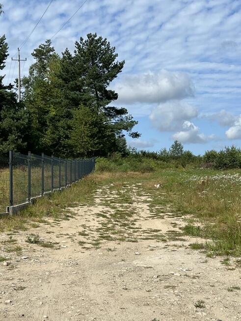 Działka siedliskowa Sopieszyno ul. Lotosowa