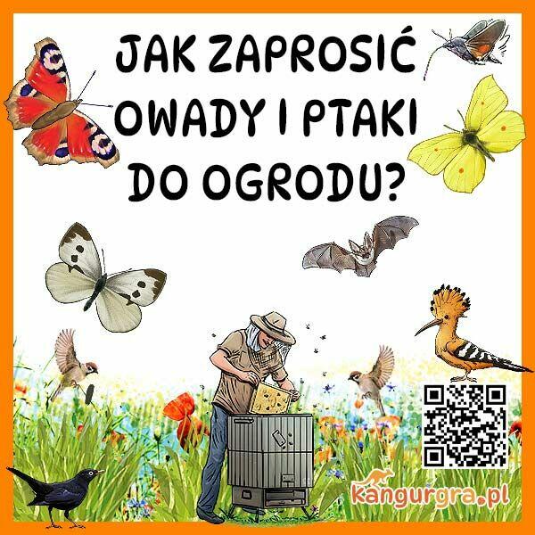 EKO GRA XXL dla DZIECI Polskie OWADY gatunki chronione