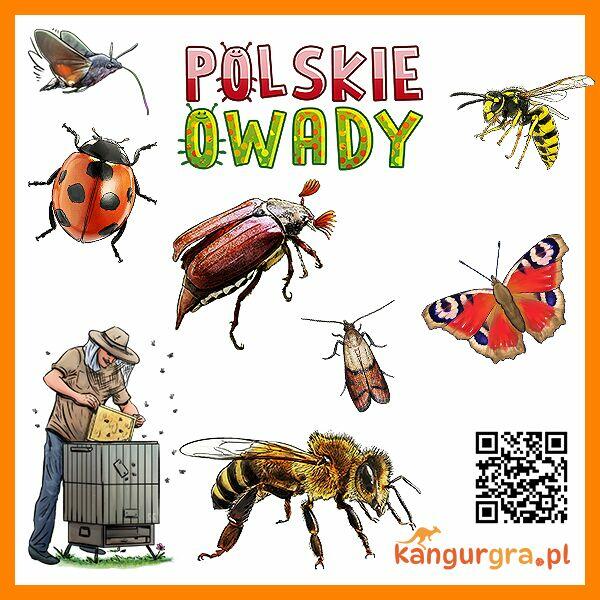 EKO GRA XXL dla DZIECI Polskie OWADY gatunki chronione