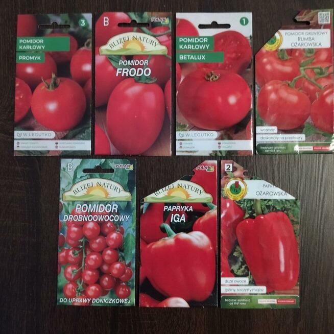 Rozsada sadzonki flance pomidorów wiele odmian papryka