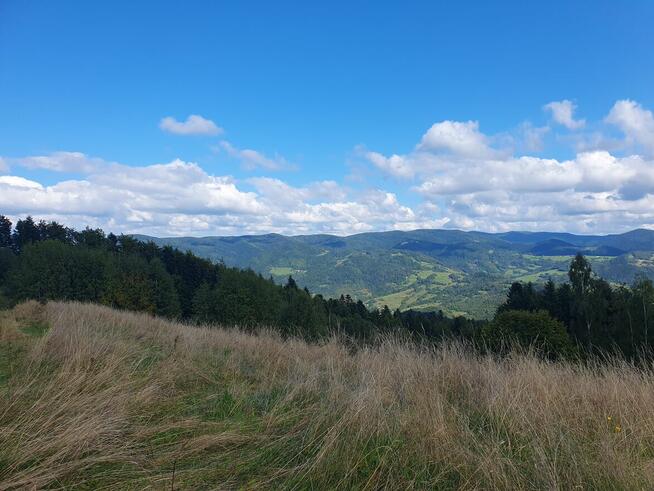 Kupię prywatnie gospodarstwo/dom z zabudowaniami (min. 1 ha)