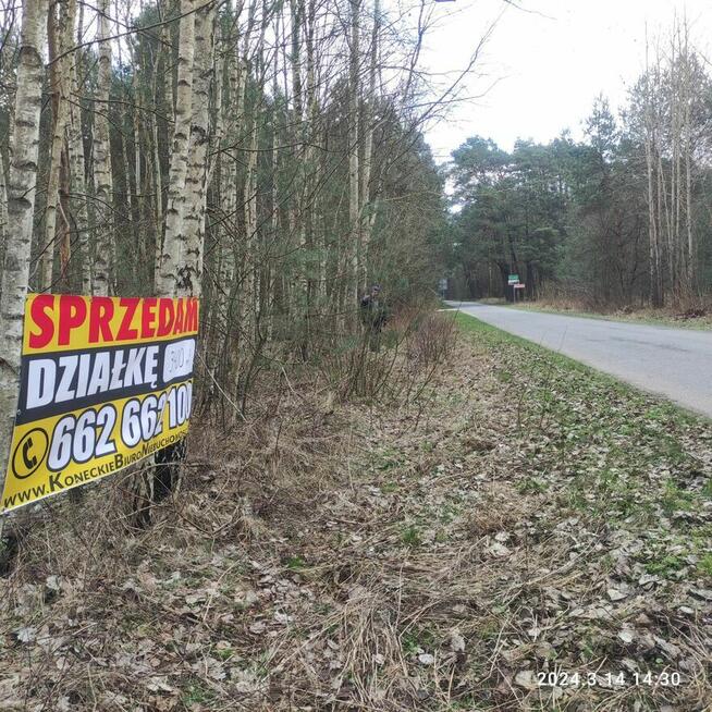 Działka budowlana w miejscowości Gracuch gm. Końskie