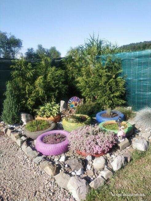 Działka rekreacyjna z domkiem holenderskim