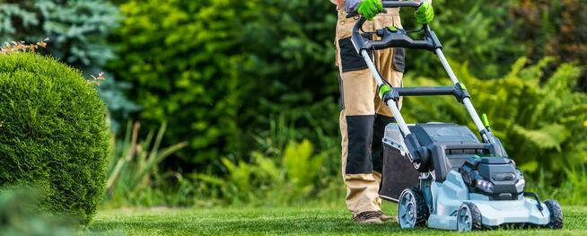 Pielęgnacja Ogrodów