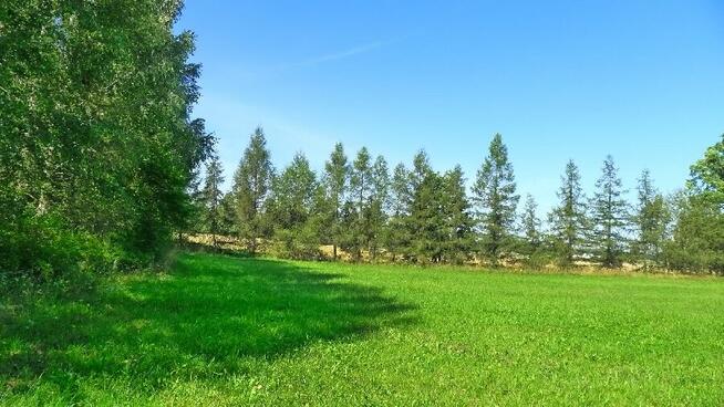 DZIAŁKI BUDOWLANE NOWA WIEŚ, LIPNIAK