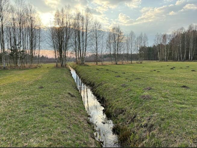 Działki o pow. 2,37 ha w Nagoszewie, gm. Ostrów Mazowiecka