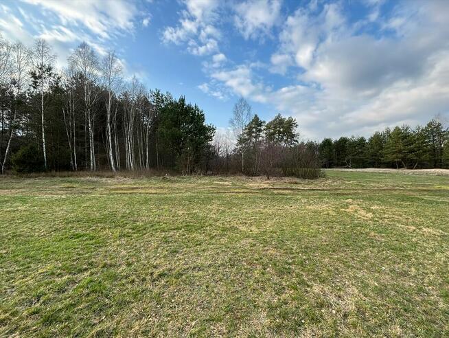 Działki o pow. 2,37 ha w Nagoszewie, gm. Ostrów Mazowiecka