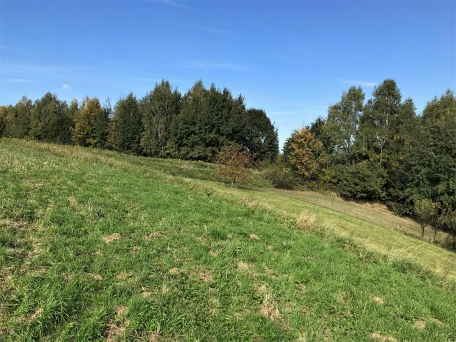 Działka budowlana Grojec gm. Alwernia,