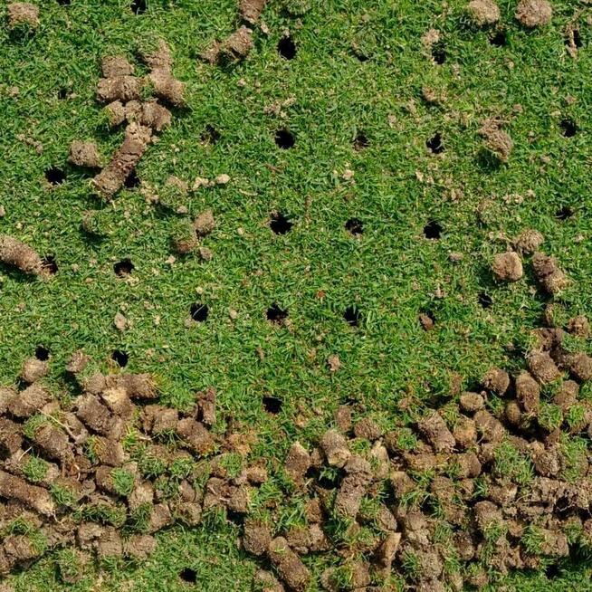 Aeracjia rurkowa otworowa, Piaskowanie topdresing trawnika