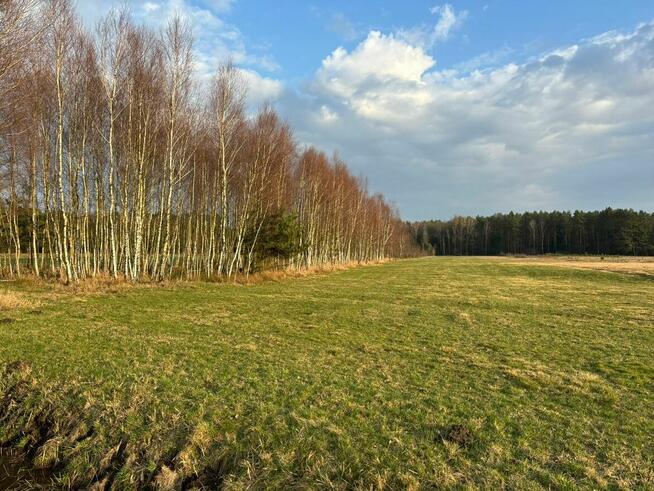 Działki o pow. 2,37 ha w Nagoszewie, gm. Ostrów Mazowiecka