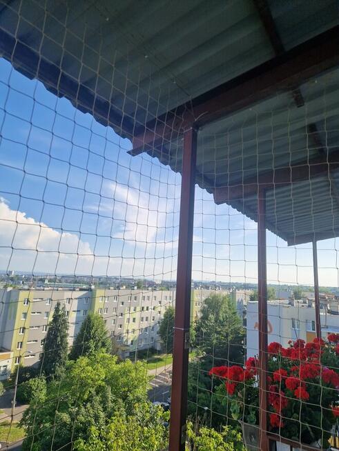 Siatka na Balkon na ptaki i dla kotów Mielec Tarnobrzeg