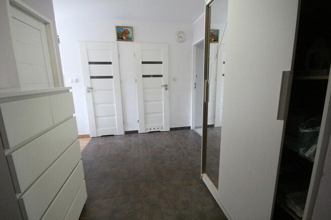 Pokój (12met) okolice Chojnowskiej OD ZARAZ! (Wrocław)