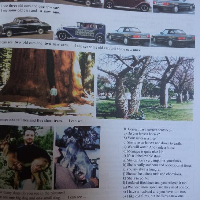 ENGLISH THE WAY IT IS ELEMENTARY - drugi tom