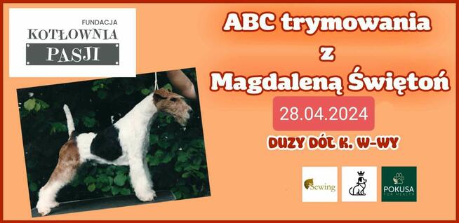 Szkolenia DLA GROOMERÓW, okolice W-wy