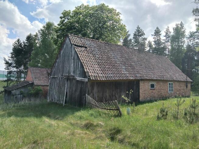 Sprzedam działkę z budynkami w Gajewie, gmina Nowe