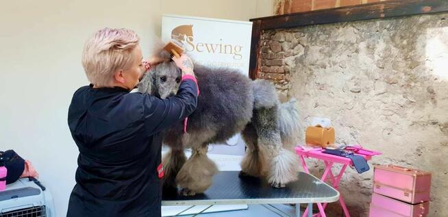 Szkolenia DLA GROOMERÓW, okolice W-wy