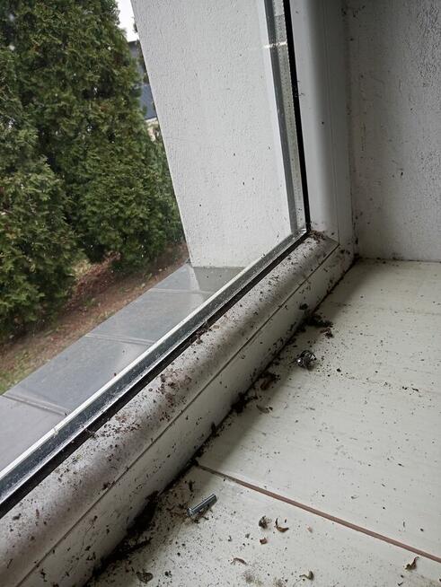 Firma Sprzątająca Paulina Szymczak