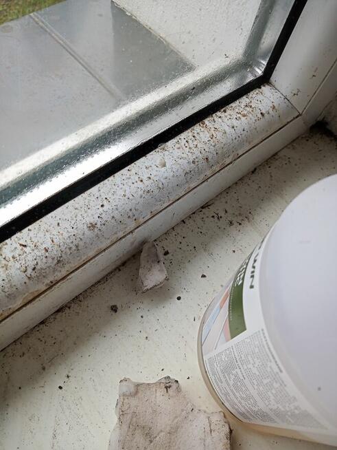 Firma Sprzątająca Paulina Szymczak