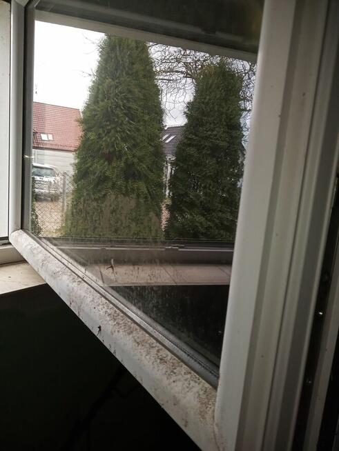 Firma Sprzątająca Paulina Szymczak