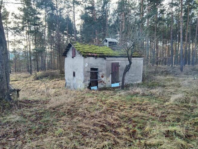 Sprzedam działkę z budynkami w Gajewie, gmina Nowe
