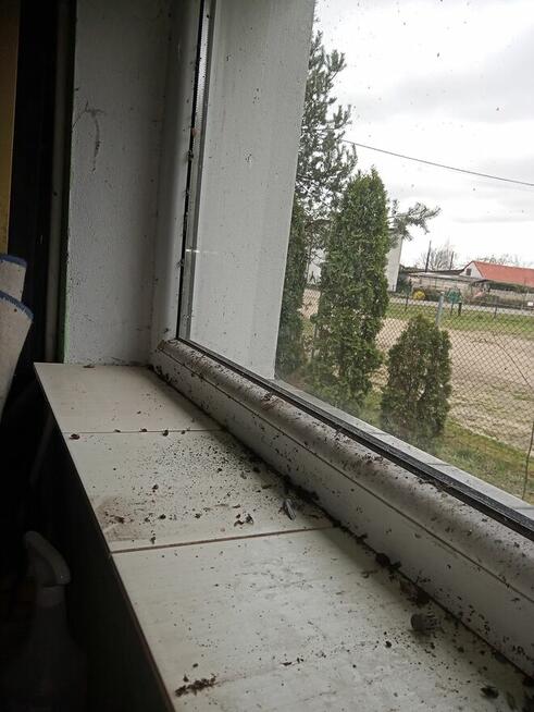 Firma Sprzątająca Paulina Szymczak