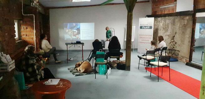 Szkolenia DLA GROOMERÓW, okolice W-wy