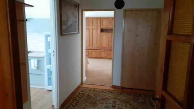 Pokój do wynajęcia dla dziewczyny z Ukrainy