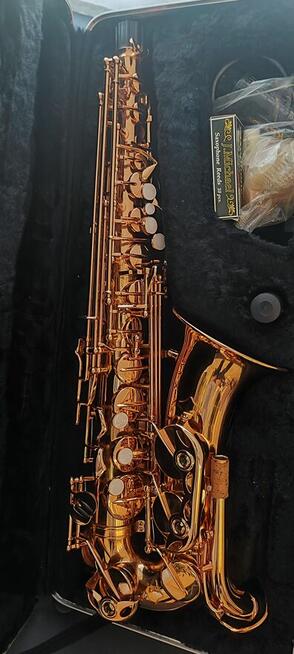 Saxofon Weril Spectra