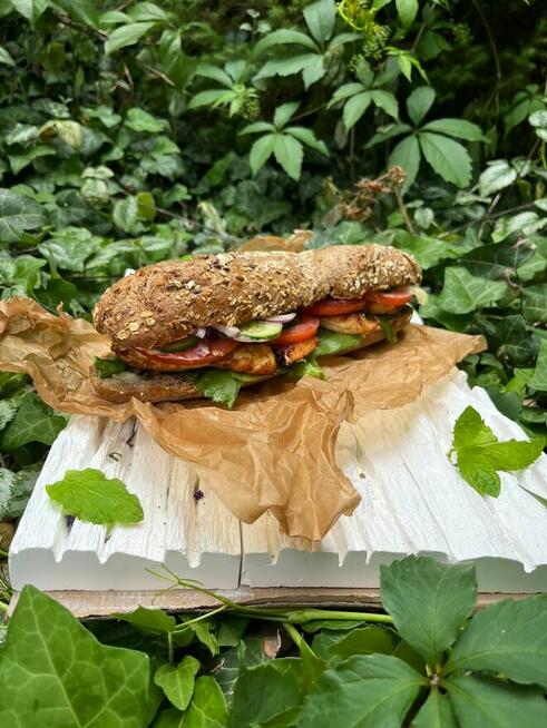 Kuchnia Kolorowe Gniazdko