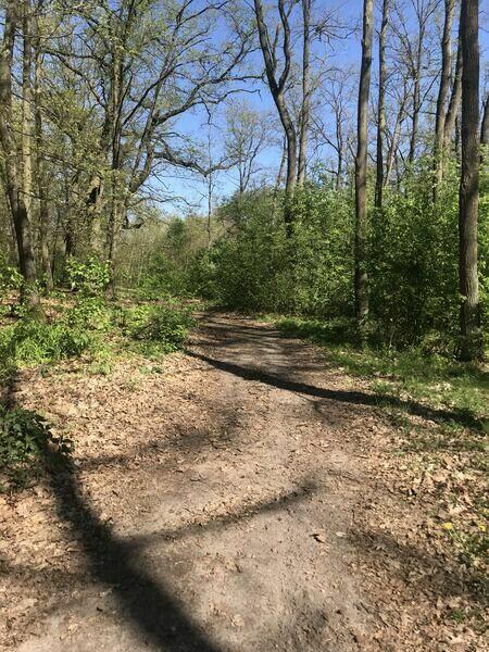 Działki budowlane (wiejskie tereny)