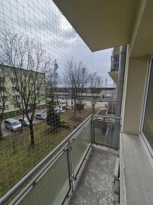 Montaz siatki na Ptaki i Koty na Rzeszów Tarnobrzeg Mielec