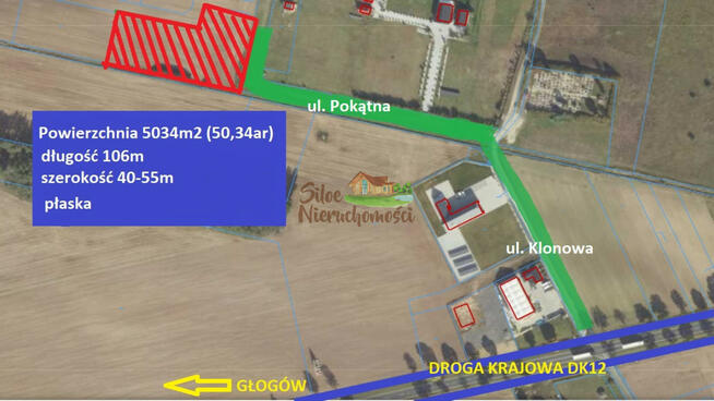 Działka przemysłowa Wilków gm. Głogów, Pokątna