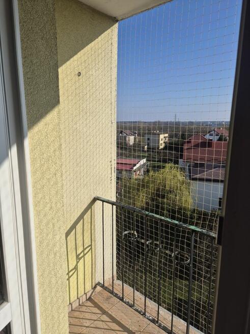 Montaz siatki na Ptaki i Koty na Rzeszów Tarnobrzeg Mielec