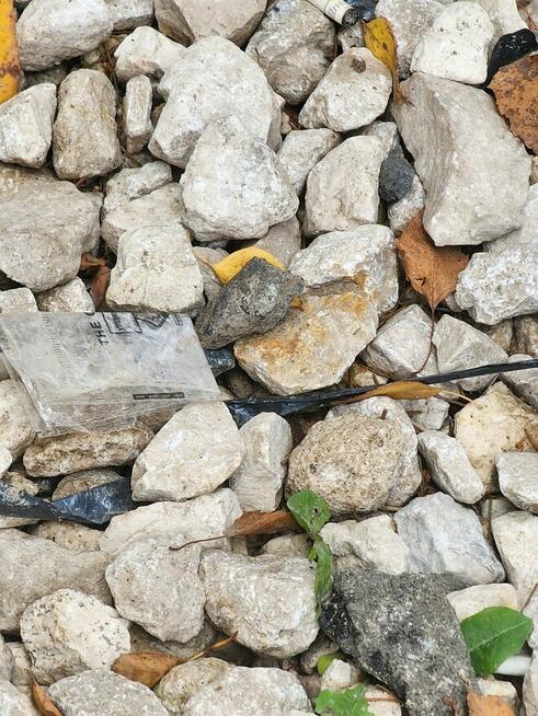 Kontener na odpady Tłuszcz