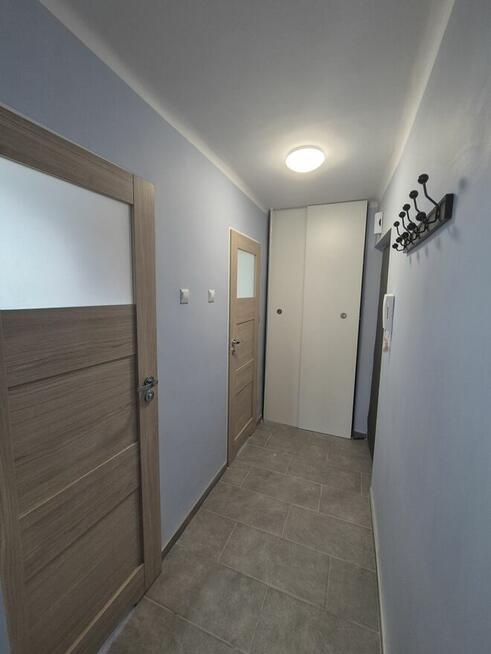 Kawalerka Bratysławska