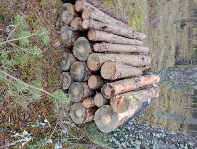 Sprzedam drewno opałowe