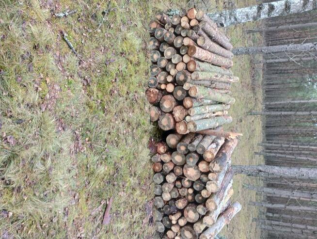 Sprzedam drewno opałowe