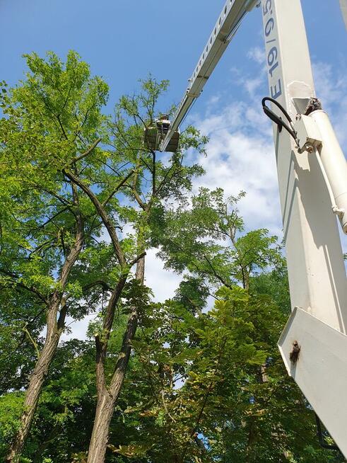 Podnośnik koszowy Wynajem Zwyżka 20m