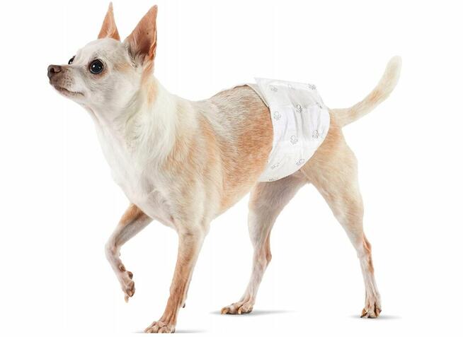 10x JEDNORAZOWE PIELUCHY DLA PSA S 27-40cm