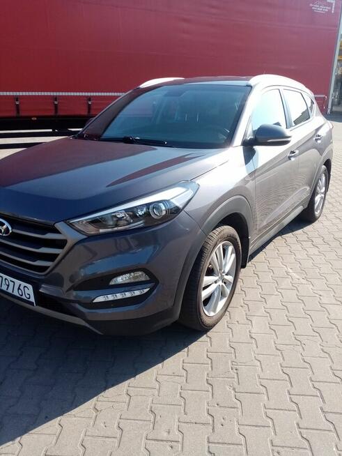 Hiunday Tuscon salon 2015 r 1, 7 d