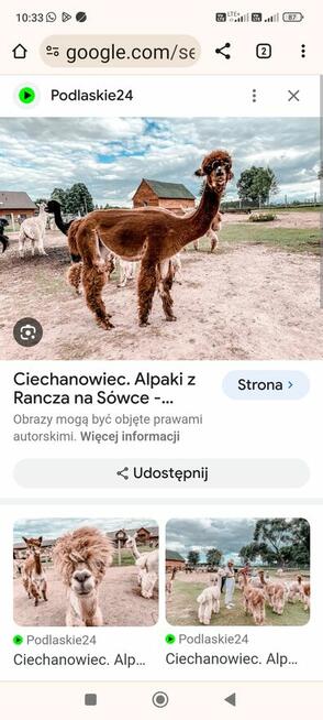 Dom letniskowy działka 1200 m księga wieczysta - właściciel