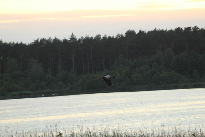 SZUKAM RÓWNIEŻ SAMOTNEJ KOBIETY, KTÓRA CHCE BLISKOŚCI MEN!