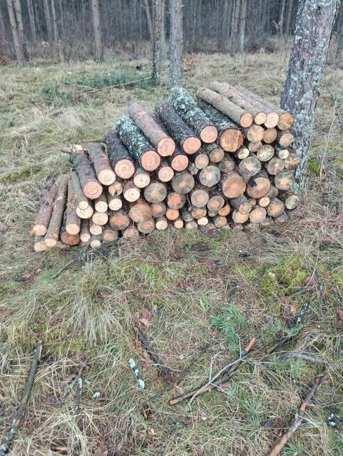 Sprzedam drewno opałowe