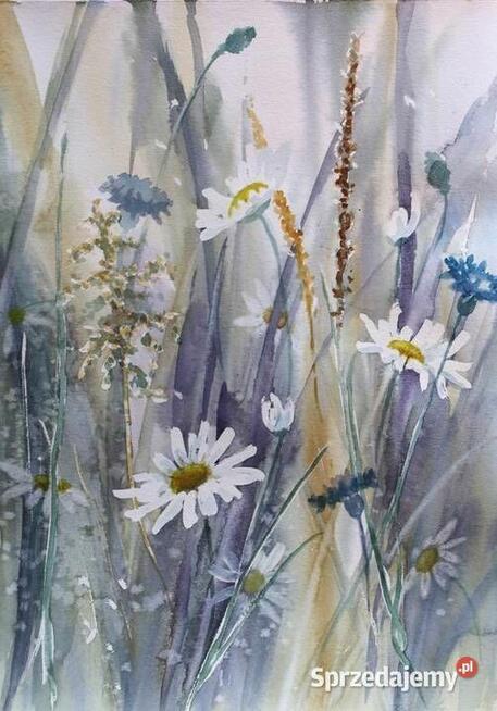 Akwarele Łąka, Dyptyk, 30X20 cm (x2),L. Olbrycht