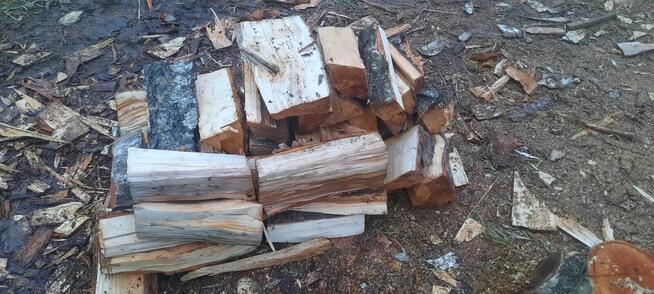 Drewno opałowe kominkowe grube cięte rąbane różne gatunki
