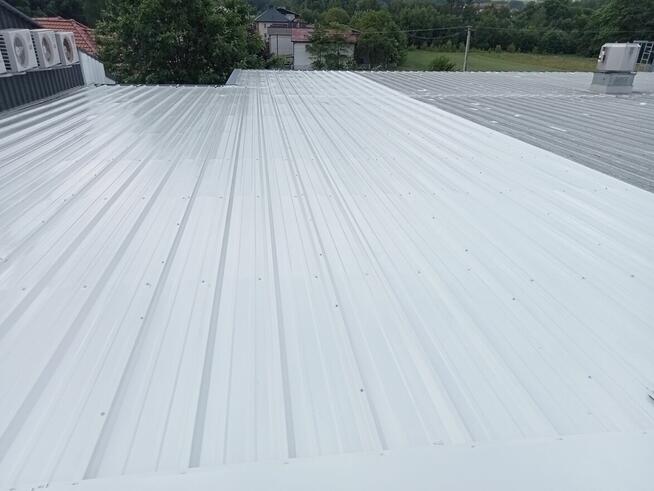 Malowanie dachów, konstrukcji stalowych, zabezpieczenia P.poż