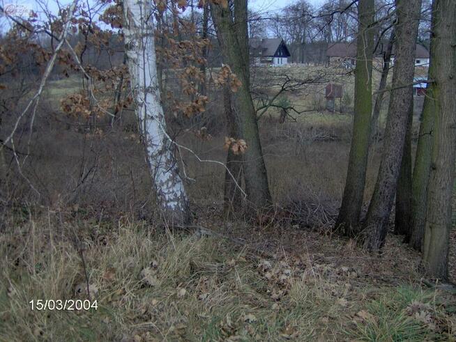 Działka Zalesie gm. Żabia Wola